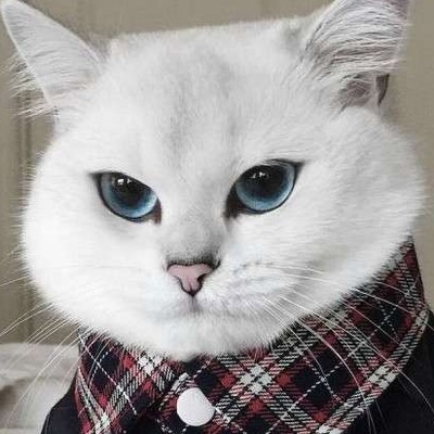 Виталий Станиславович